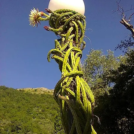 Apartment La Margherita Di Teriasca