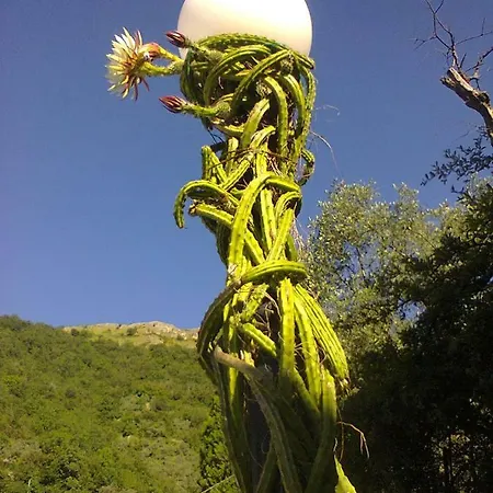 La Margherita Di Teriasca